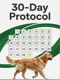 30-Day Protocol