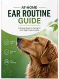 At-Home Ear Routine Guide