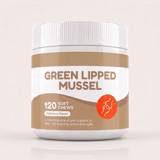 Green Lipped Mussel
