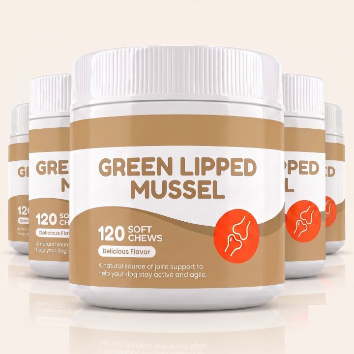 Green Lipped Mussel