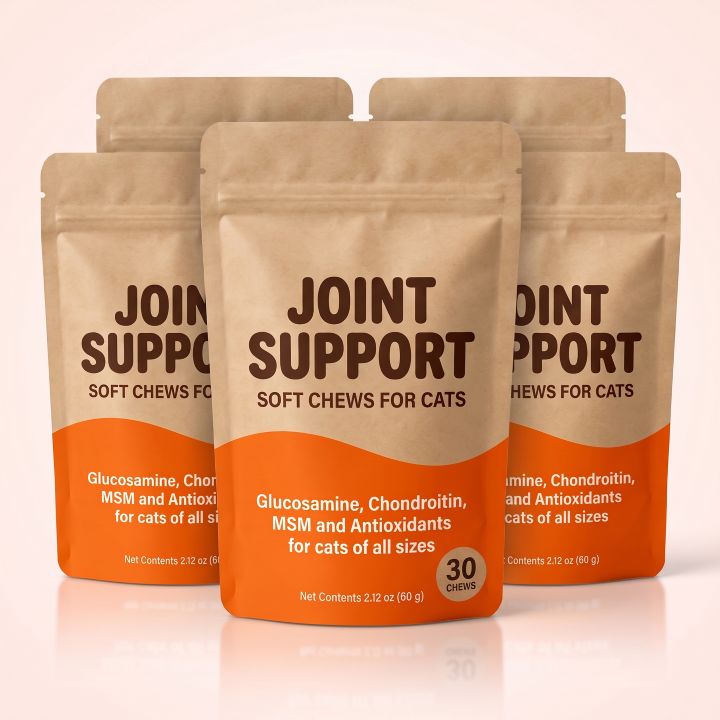 Joint Support